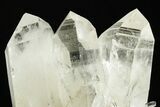 Clear Quartz Crystal Cluster - Colombia #368474-1